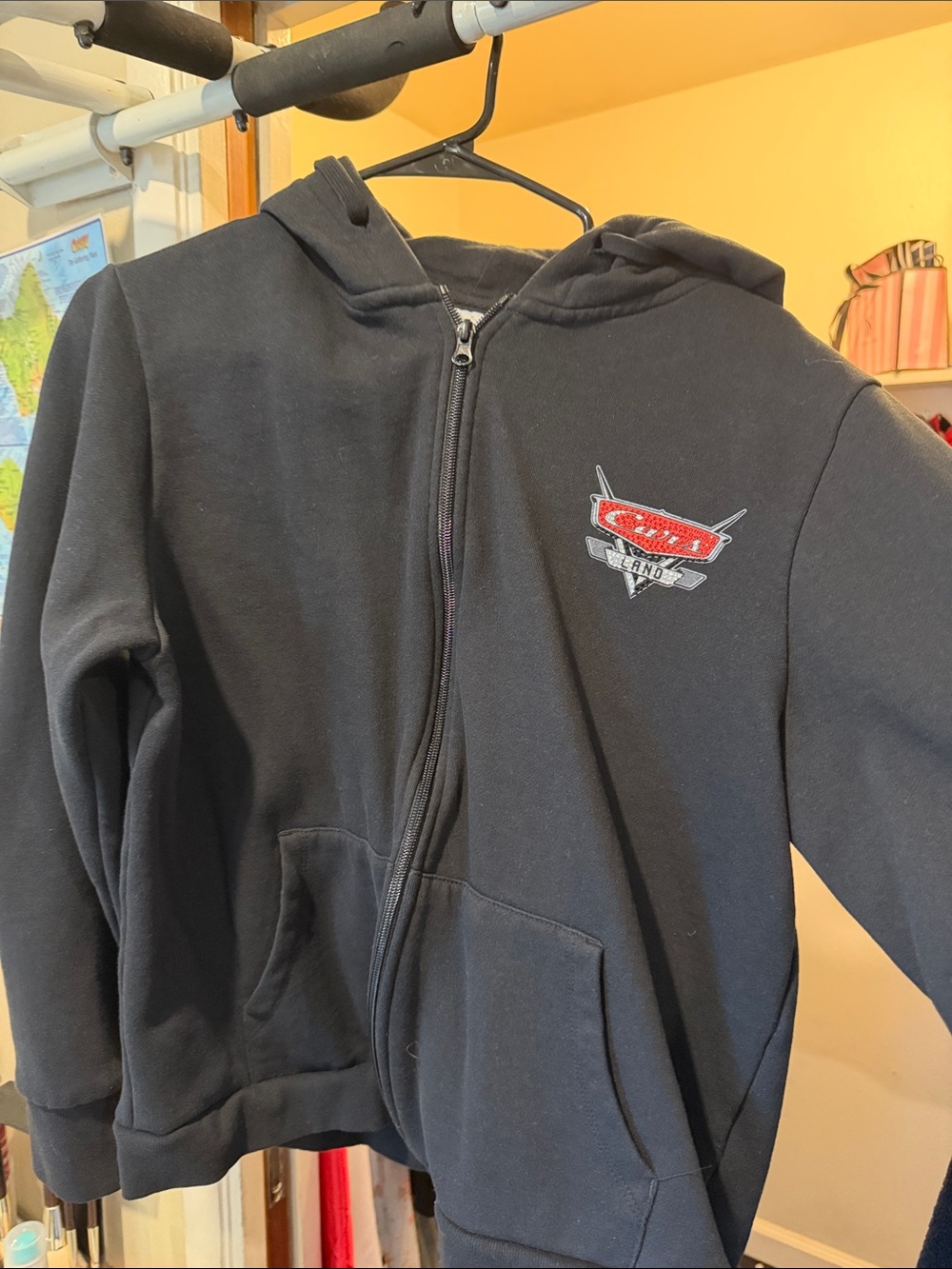 Disney Cars land zip up